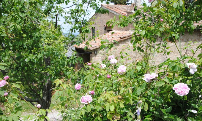 Radicondoli House | Come and enjoy the authentic Tuscan country life in stunning settings