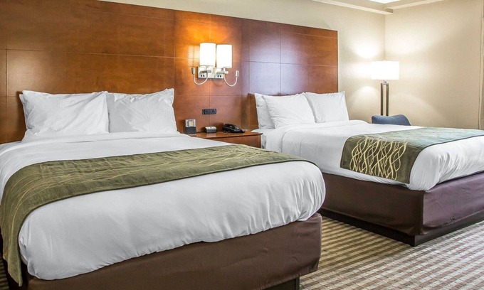 Hammond Hotel | Comfort Inn Hammond I-94