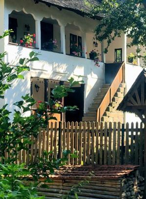Braesti Villa | Conacul Copilăriei