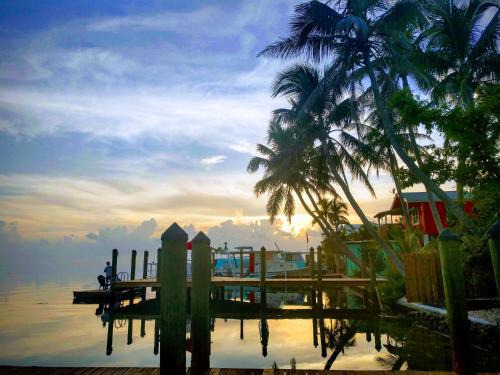 Marathon Hotel | Conch Key Fishing Lodge & Marina