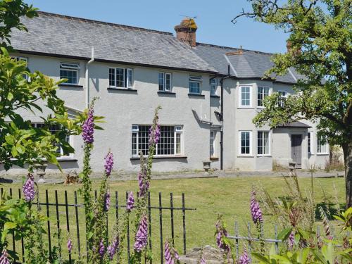 South Molton House | Conifers
