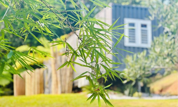 San Sebastian Apartment | Container home next to a beautiful river (CASA VAGON ISLA BENDITA)