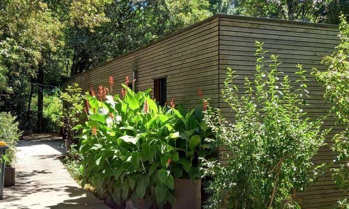 Hennebont House | Cool under the trees and warm in the Nordic bath all year round