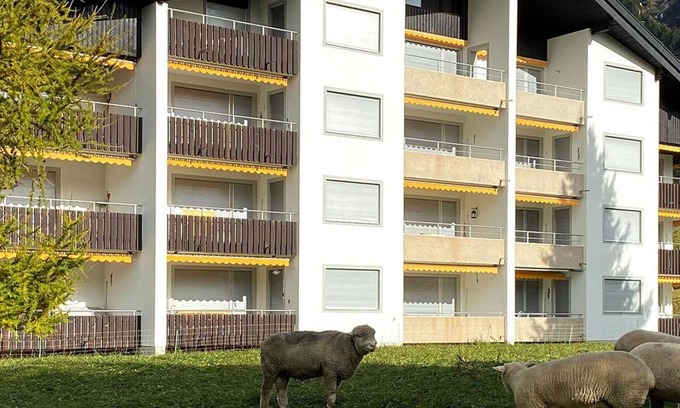 Parpan Apartment | Cosy apartment for 6 guests with WIFI, TV and balcony