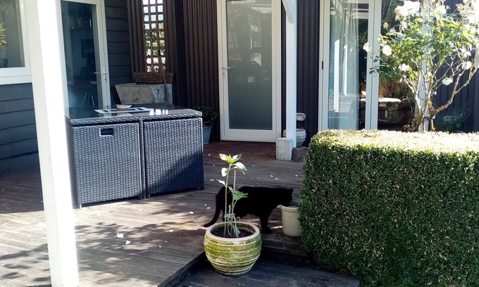 Tahakopa Cabin | Cosy, Comfortable, Rustic Cabin In The Absolute Heart Of The Catlins