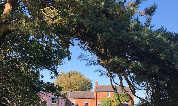 Wing Cottage | Cosy Cottage, Full Of Character Situated Along A Woodland Drive