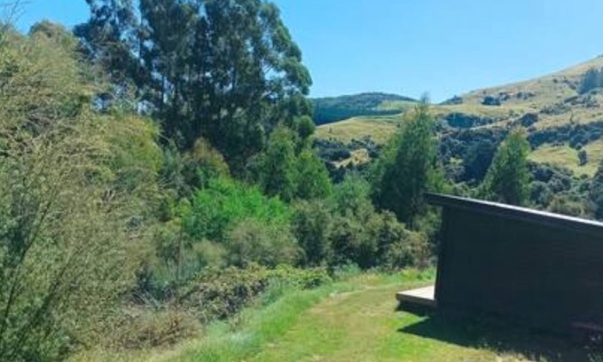 Little River Cabin | Cosy rustic escape surrounded by nature