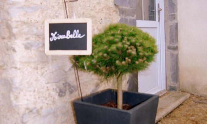 Pannece Cottage | Cottage "MIRABELLE" in the countryside with swimming pool