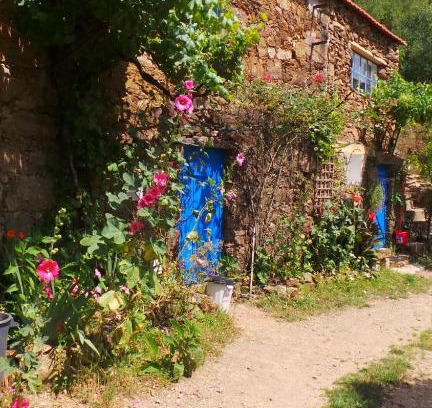 Figueiro dos Vinhos House | Cottage Vivenda Festina Lente