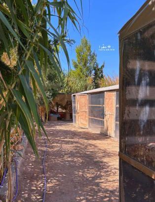 Wadi Musa Cabin | Country cottage