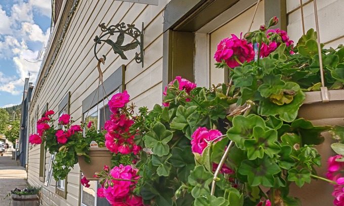 Coleman Bed & Breakfast | Country Encounters