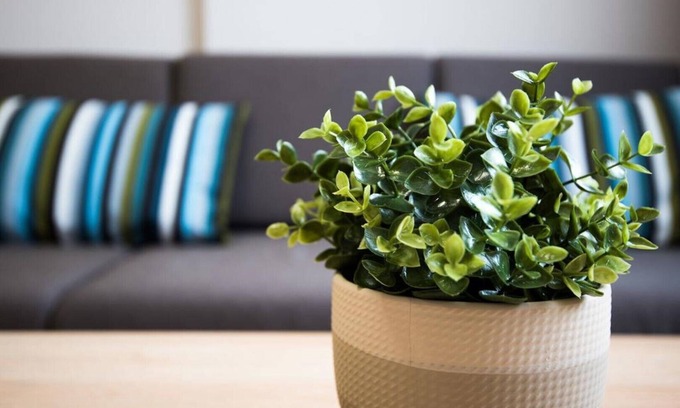 Panagyurishte Apartment | Court Inn – One Bedroom Apartment 14