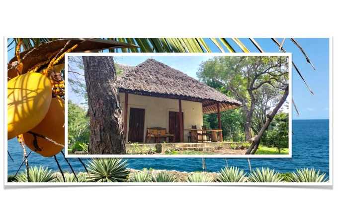 Shimoni House | Cove House House 60 m2 Creekside Indian Ocean