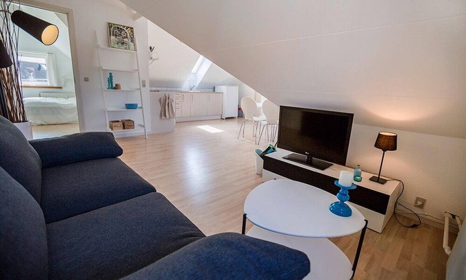 Aalborg Apartment | Cozy 1-bedroom Apartment in Aalborg