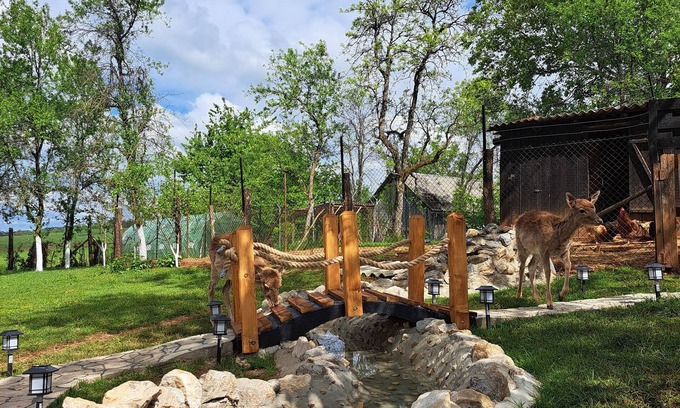 Slunj Apartment | Cozy 1-bedroom apartment with jacuzzi and dears in backyard near Plitvice lakes