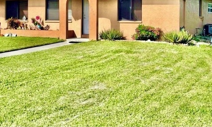 San Carlos Park House | Cozy 2-Bed 1-bath; fits 7-people near Gulf Coast TownCenter, mini golf, beach