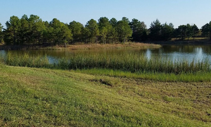 Antlers Cabin | Cozy 2 rm pet friendly cabin- private lake - fishing & swimming - IndianCabin