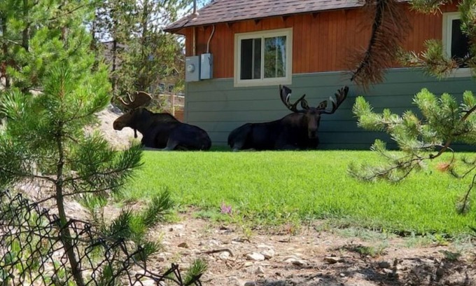 Grand Lake Cabin | Cozy Blackhawk Cabin