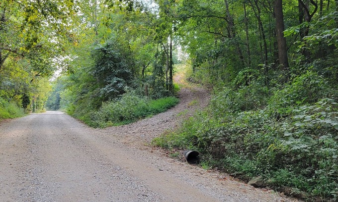 Elkins Cabin | Cozy cabin 16 miles from Razorback Stadium great for game weekends.