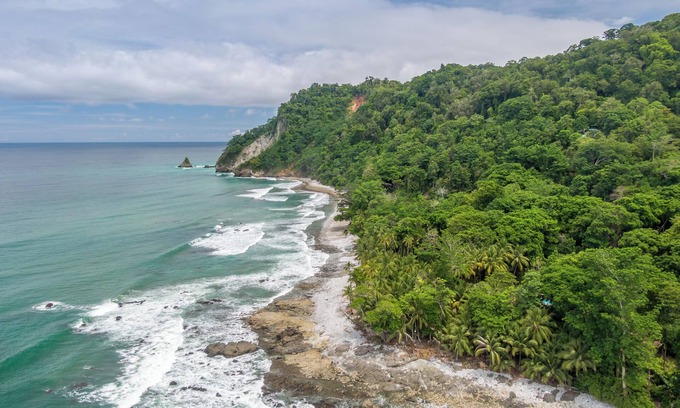 Palma Cabin | Cozy cabin 200 meters from Cabo Matapalo Beach