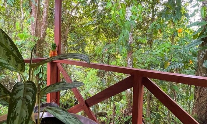 Florencia Cabin | Cozy Cabin In La Fortuna