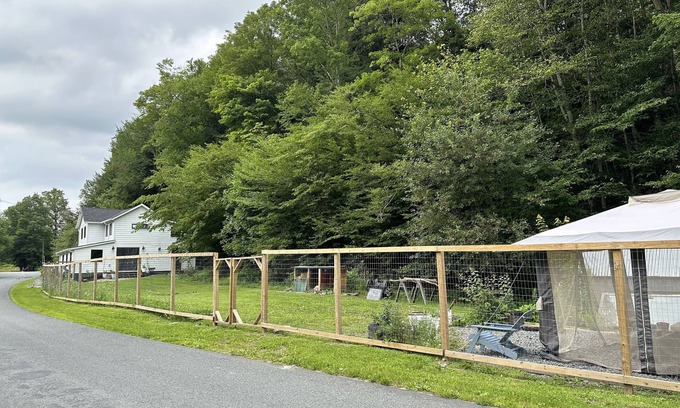 Livingston Manor Cottage | Cozy cottage near Livingston Manor with creek and fenced-in yard. Pet-friendly!