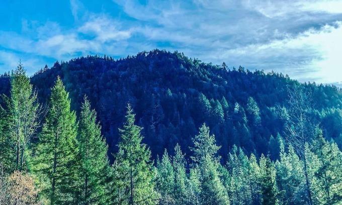 Wolf Creek Apartment | Cozy Historic Cabin Near Hiking