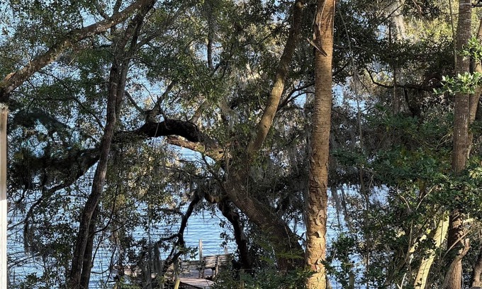 Eustis House | Cozy lakefront equestrian cabin near enchanting Mt Dora