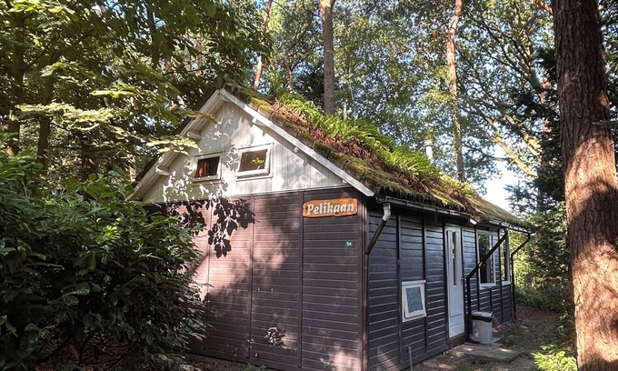 Municipality of Soest House | Cozy nature cottage with beautiful view over the meadow