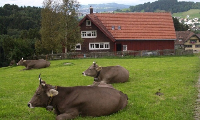 Rehetobel House | Cozy old Appenzeller farmhouse to live alone