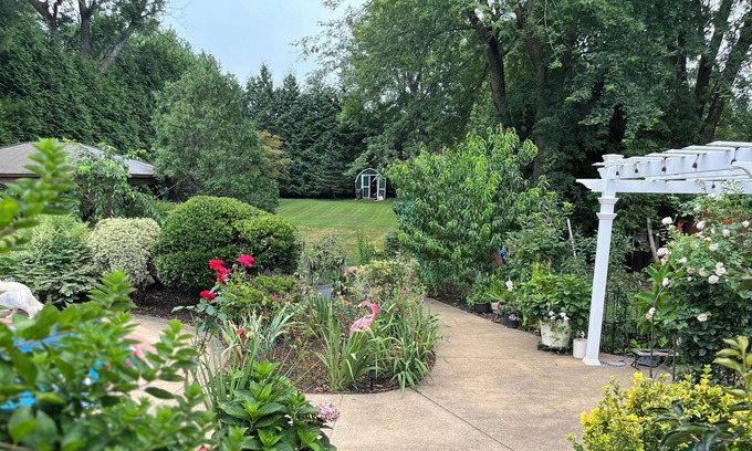 Annandale Cottage | Cozy paradise, full privacy, pool, gorgeous back yard, free parking!
