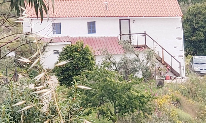 Macao Apartment | Cozy studio in the mountains of Central Portugal! Vegan and pet friendly!