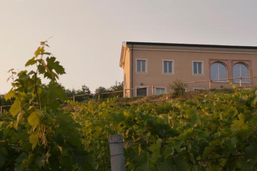 Cardona House | Crealto