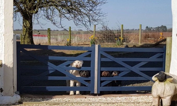 Mauchline Bed & Breakfast | Crofthead Farm House