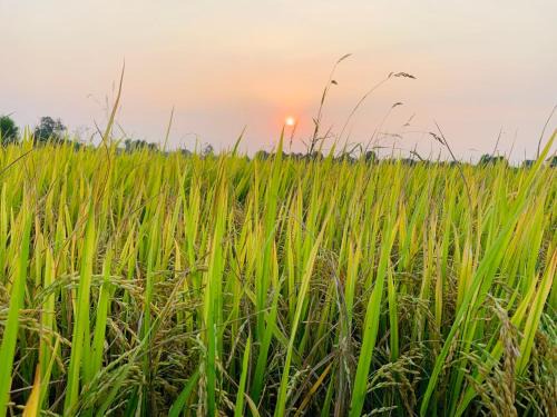 Cu Chi House | Cu Chi Boutique Countryside