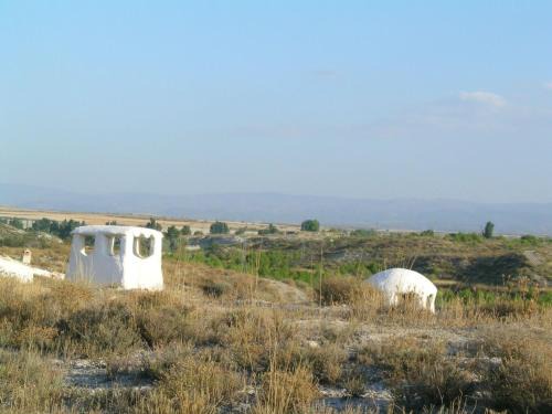 Baza House | Cueva El Ermitano