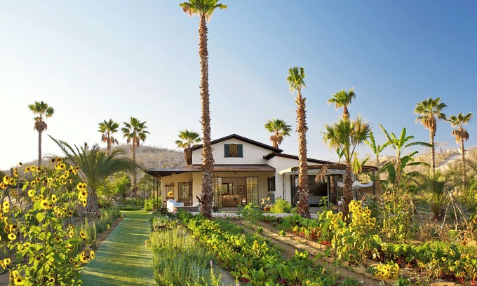 San Jose del Cabo House | Culinary Cottages at Flora Farms 2-BR with Pool