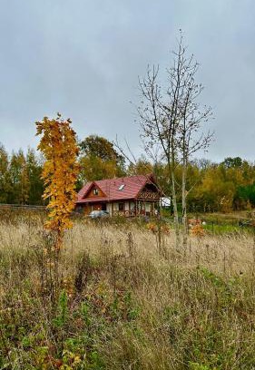 Gizycko House | Czapla i Żuraw