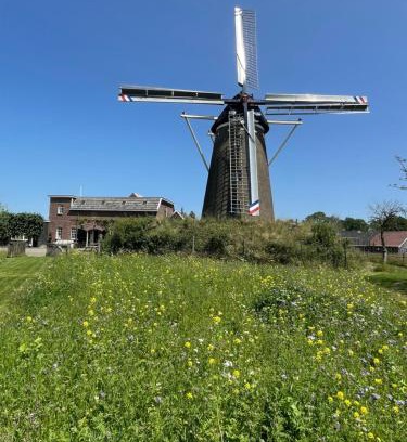 Breedenbroek Apartment | Daar bij die Kempermolen