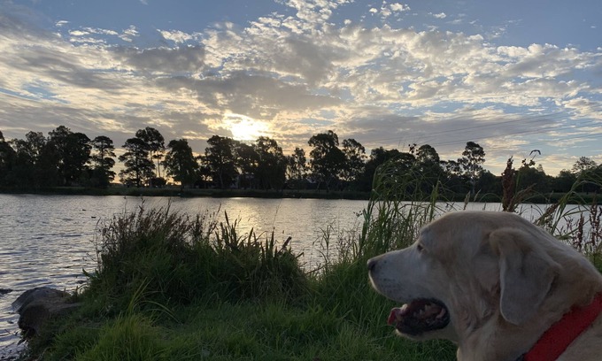Reservoir House | Daffodil Room - 5 min walk to Edwards lake