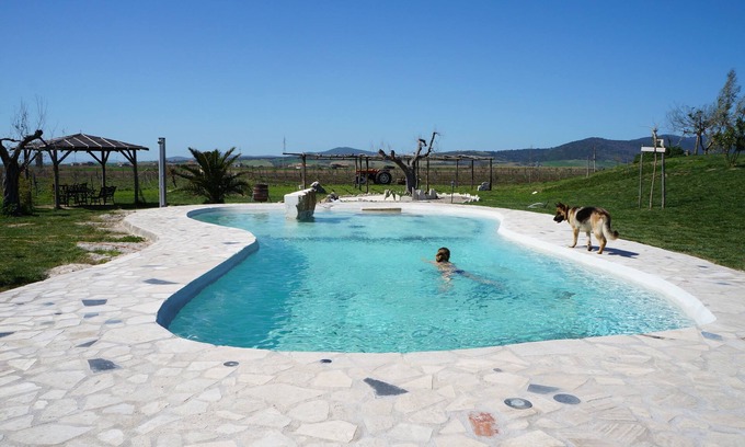 Canino Apartment | Daniele House - Relaxation and Volcanic Water under the Stars Occasum