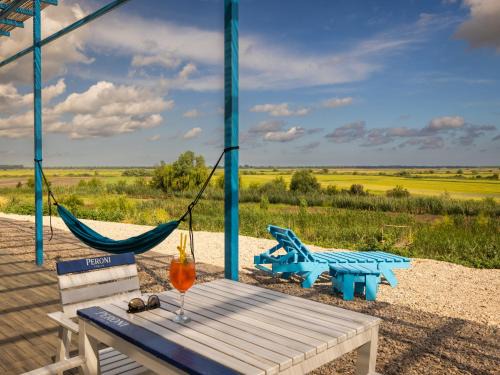 Dunavatu de Jos House | Danube Delta View