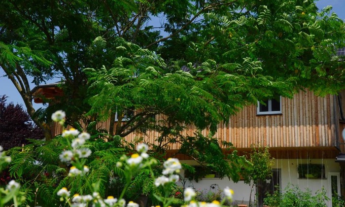 Finkenstein am Faaker See Apartment | das stille Paradies