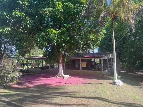 Rio Branco Cabin | Davi Modesto