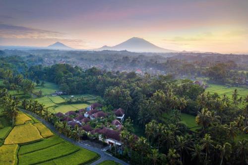 Kenderan Resort | Dedary Resort & Spa Ubud by Ini Vie Hospitality