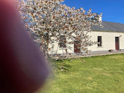 Ogonnelloe Apartment | Deerpark Holiday cottages Dairy