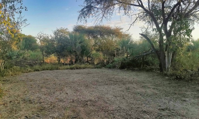 Maun RV Rental | Delightful campsite in nature between Maun & Moremi