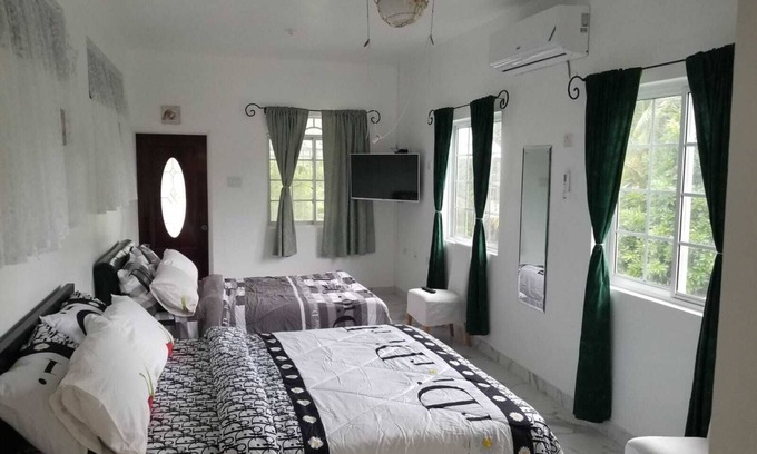 Porus Apartment | Delightful studio with AC in Clarendon Park