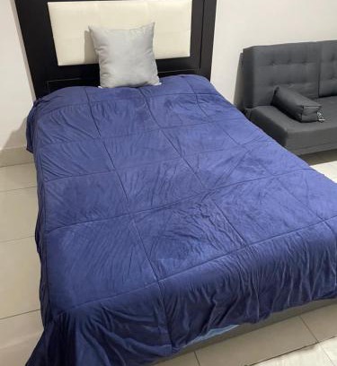 Torreon Apartment | Departamento Céntrico Alameda