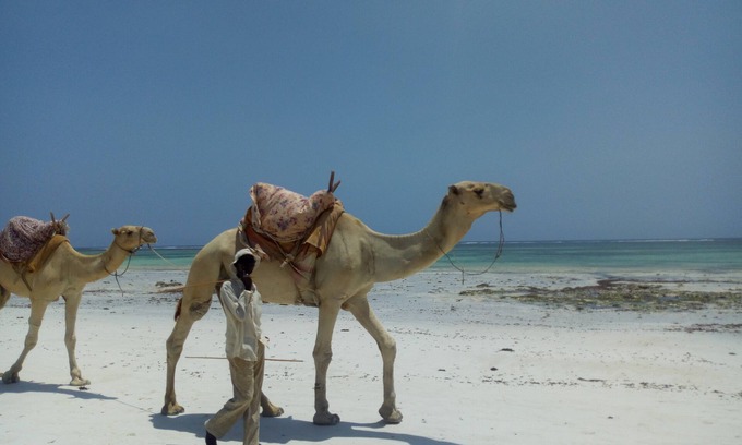 Ukunda Villa | Diani beach Kenya .A little paradise on Earth